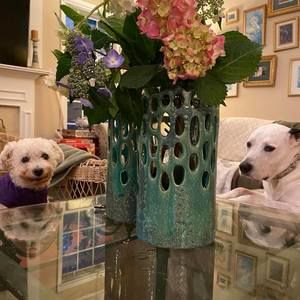 Meet your Posher, Kathy